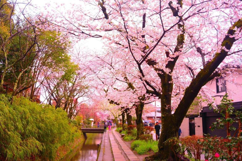 Hotel Legasta Gion Shirakawa Kjóto Exteriér fotografie